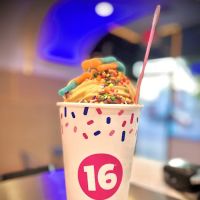 16 Handles ico
