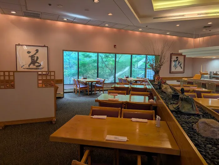 Kiku Picture 4