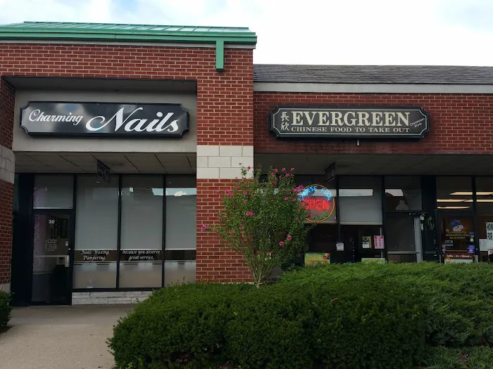 Ever Green Chinese Food Picture 1