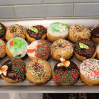 D'Ercole Donuts ico