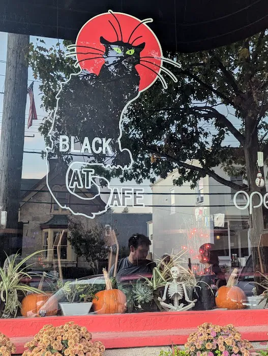 Black Cat Cafe Picture 7