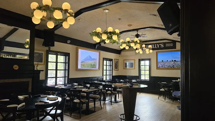 Reilly's Public House Picture 6