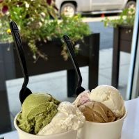 Piermont Creamery ico