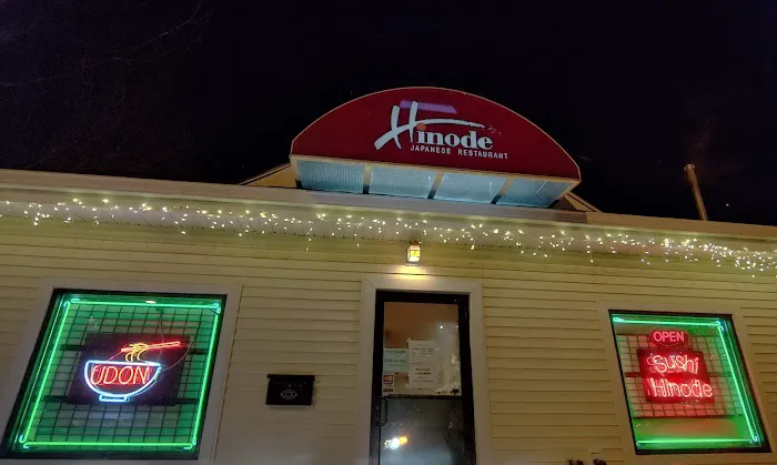 Hinode Japanese Restaurant Picture 6