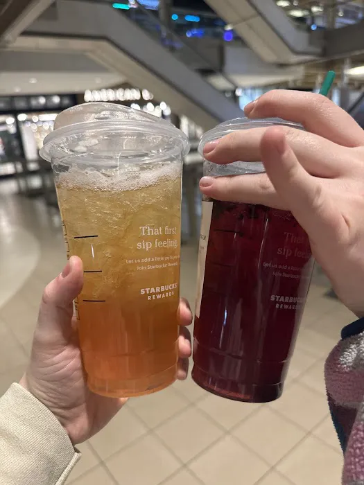 Starbucks Cafe Barnes & Noble Picture 3