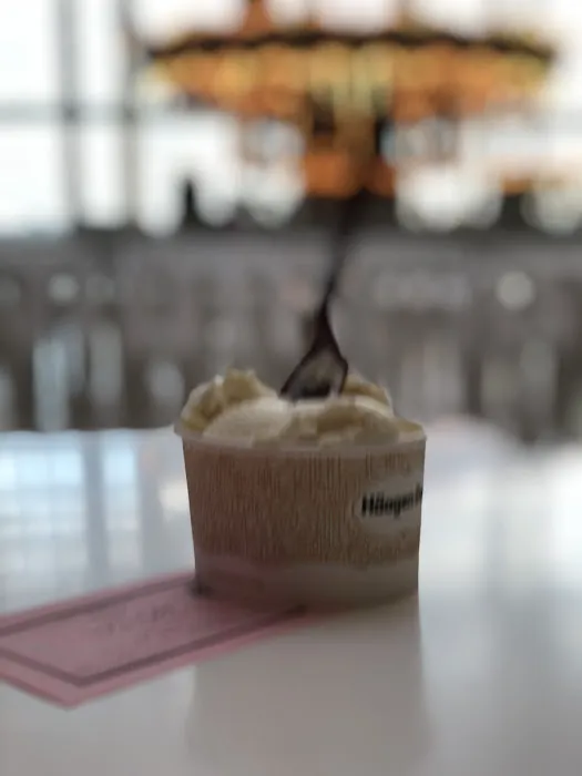 Häagen-Dazs Picture 6