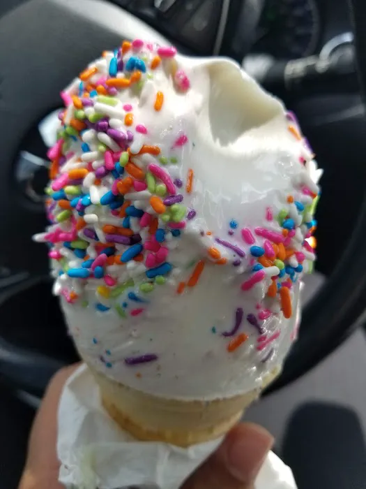 The Cone Zone Picture 4