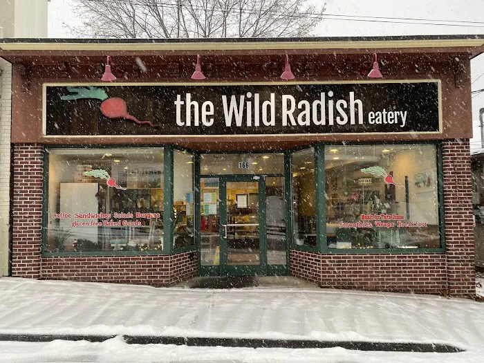 The Wild Radish Picture 8