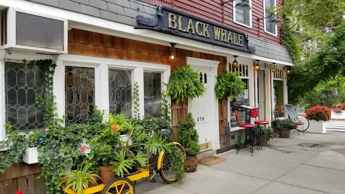 The Black Whale Picture 4