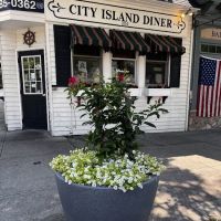 City Island Diner ico
