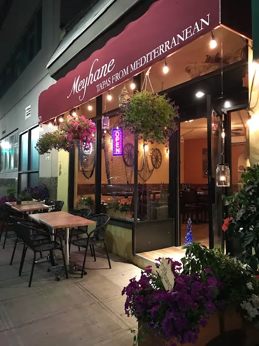 Meyhane Turkish Restaurant Picture 4