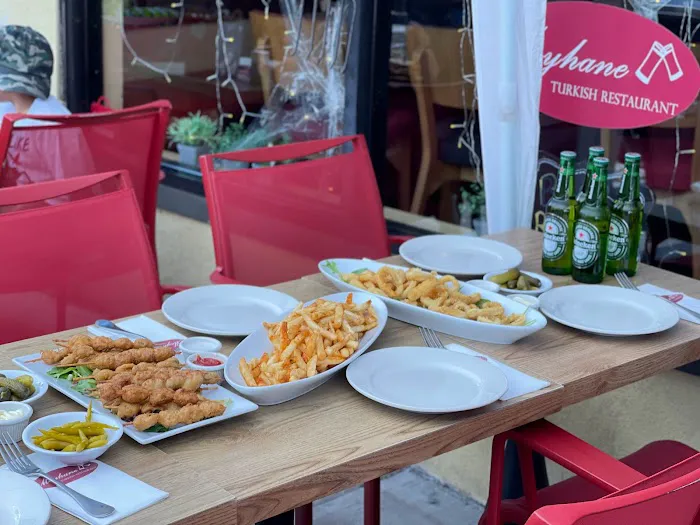 Meyhane Turkish Restaurant Picture 8