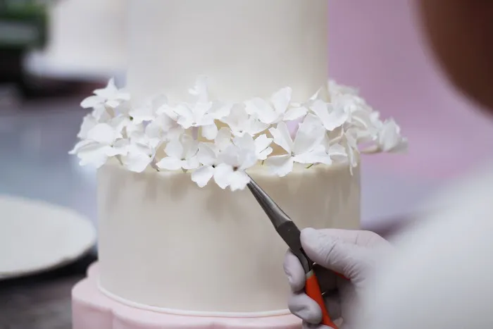 Home of the Cake Picture 3