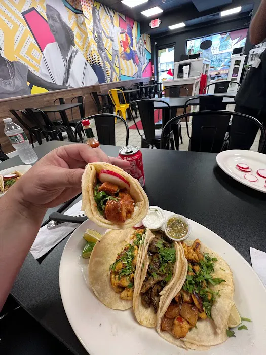 Don Jose Taqueria Picture 5