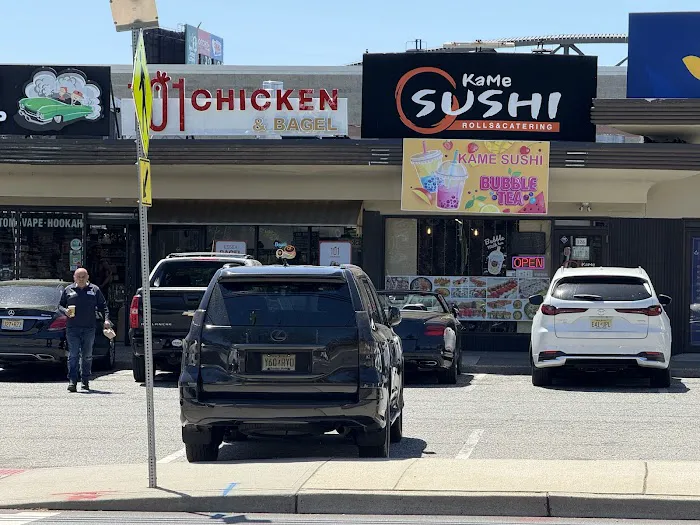 101 Chicken - Lodi Picture 5