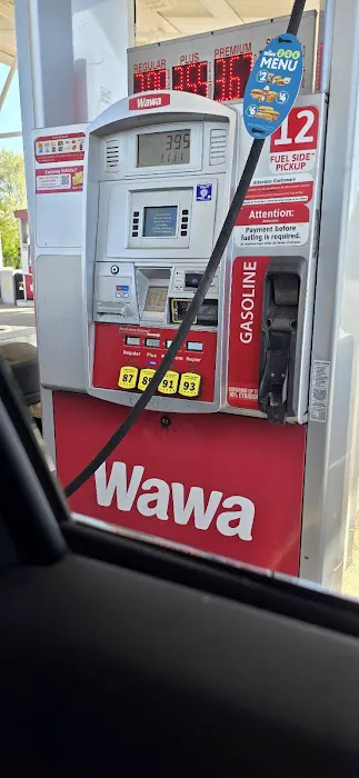 Wawa Picture 5