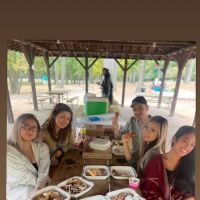 Chicken and waffles on wheels ico
