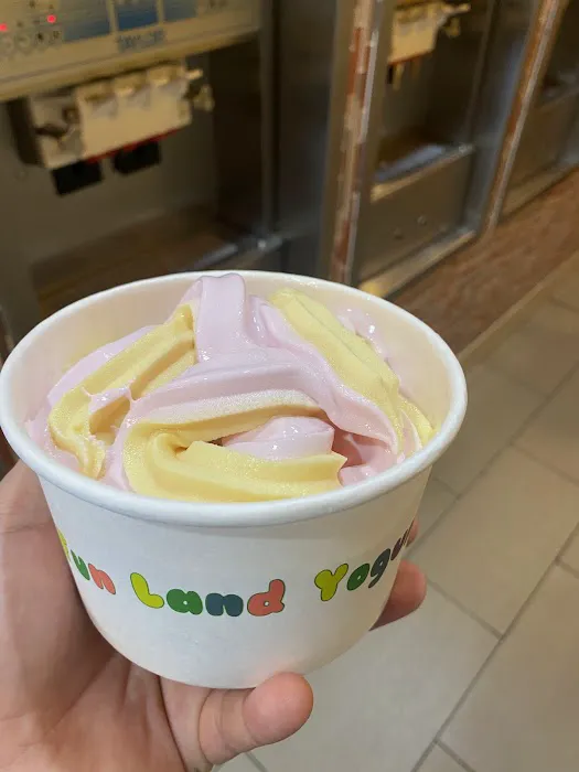 Fun Land Frozen Yogurt Picture 7