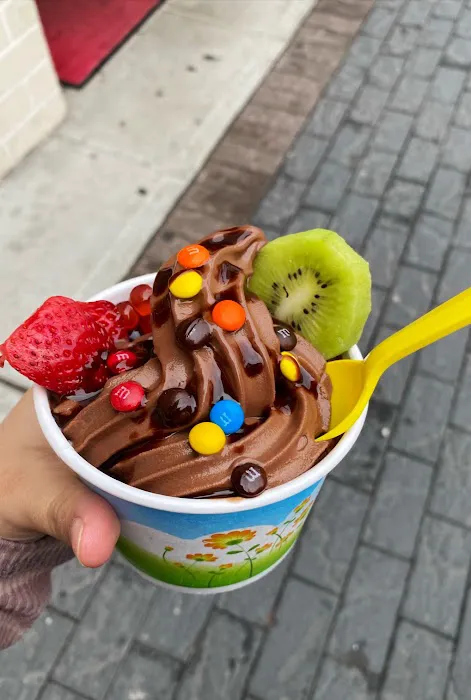 Fun Land Frozen Yogurt Picture 10