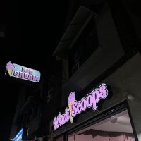 Wadi Scoops ico