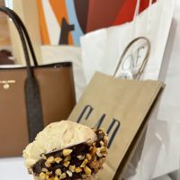 Häagen-Dazs ico