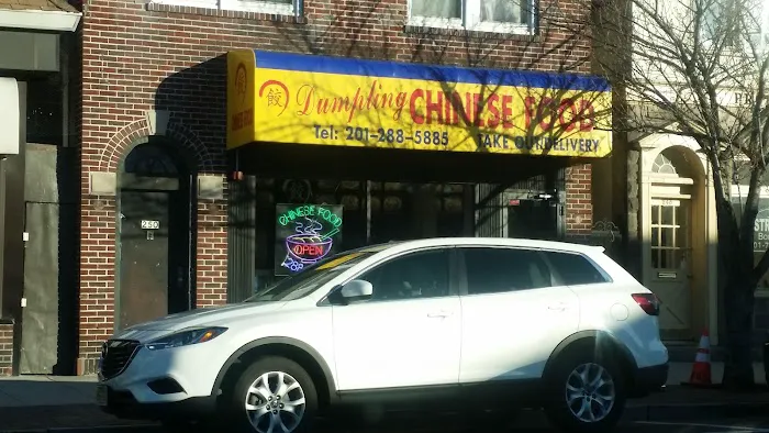 Dumpling Chinese Food Picture 4