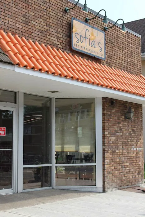 Sofia's Mediterranean Grill Picture 7