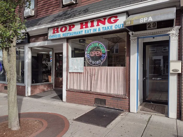 Hop Hing Kitchen Picture 2