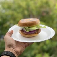 Vegan me out ico