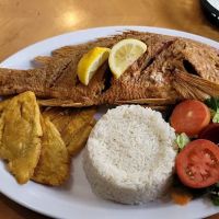 El Tipico ico