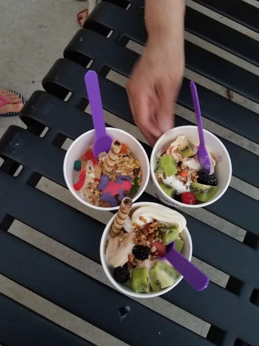CUPS Frozen Yogurt Picture 3