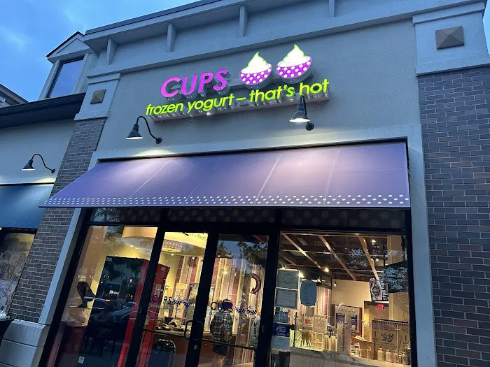 CUPS Frozen Yogurt Picture 7