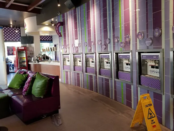 CUPS Frozen Yogurt Picture 6
