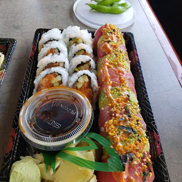 New Tokyo Sushi (Takeout) Picture 10