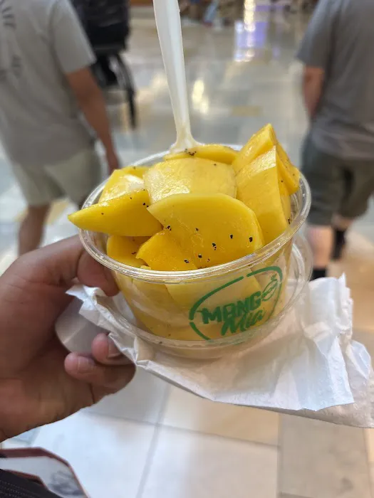 Mango Biche Mia - Bergen Outlets Picture 2