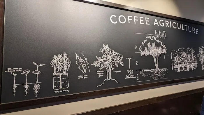 Starbucks Picture 4