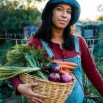 How Brunch Restaurants Are Partnering With Local Farmers to Highlight Seasonal Produce