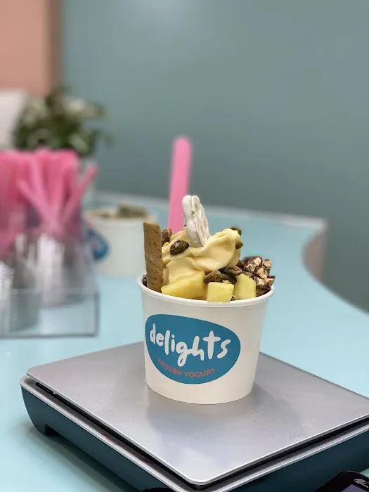 Delights Frozen Yogurt Picture 10