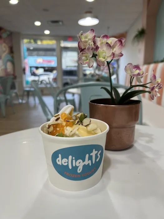 Delights Frozen Yogurt Picture 6