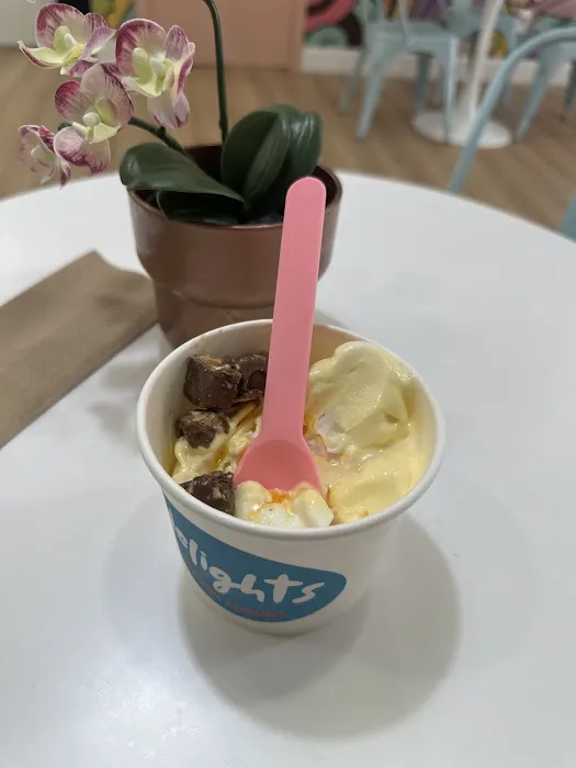 Delights Frozen Yogurt Picture 1