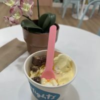 Delights Frozen Yogurt ico