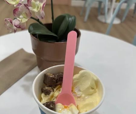 Delights Frozen Yogurt