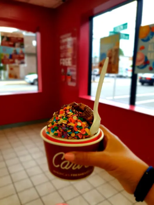 Carvel Picture 8