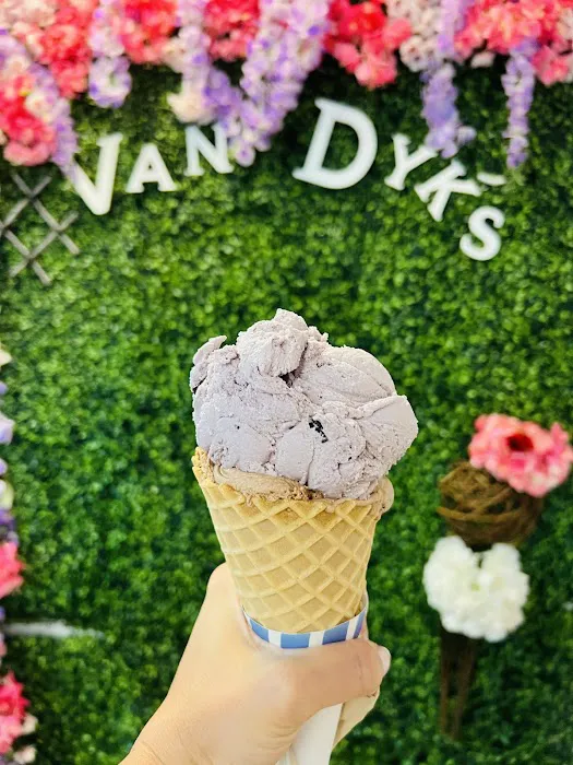 Van Dyk's Homemade Ice Cream Picture 1