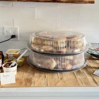 Tulip Bagels 🥯 ico