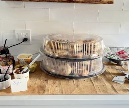 Tulip Bagels ud83eudd6f