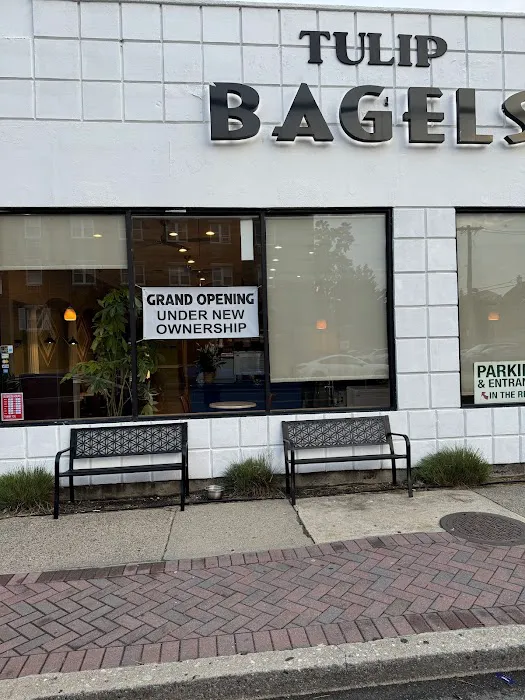 Tulip Bagels 🥯 Picture 7