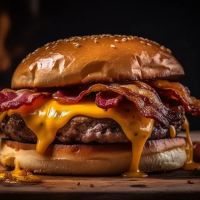 Burgerland ico