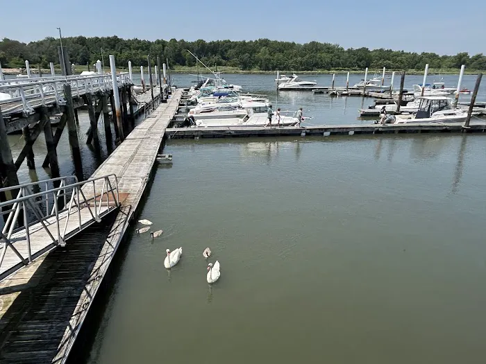 City Island Lobster House Picture 6