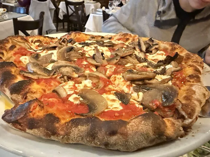 Il Colosseo Ristorante Brooklyn | Italian restaurant Picture 6